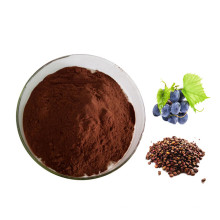 100% pure natural fruit powder oxidant grape seed extract powder